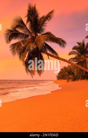 Playa Uva, Karibik, Costa Rica, Mittelamerika Stockfoto