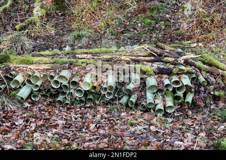 Gebrauchte Baumschutzgitter aus Kunststoff in einem Waldgebiet, Großbritannien Stockfoto