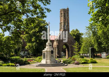 War Memorial und Greyfriar's Tower in Tower Gardens. The Walks, Kings Lynn, Norfolk, England, Großbritannien, Großbritannien Stockfoto