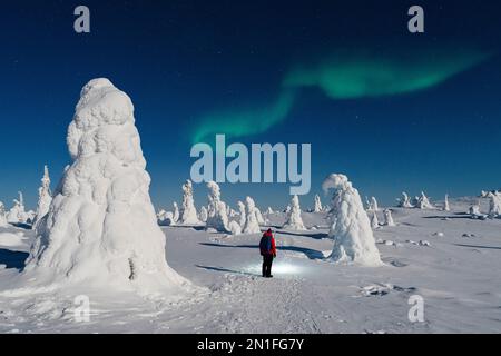 Wanderer bewundern den Himmel mit Aurora borealis (Nordlichter) im gefrorenen Wald, Riisitunturi Nationalpark, Posio, Lappland, Finnland Stockfoto