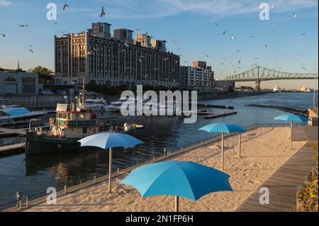 Marina und Sandy Beach mit Molsen Building, Montreal, Quebec, Kanada, Nordamerika Stockfoto