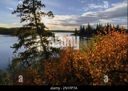 Sonnenuntergang im Herbst am Astotin Lake, Elk Island National Park, Alberta, Kanada, Nordamerika Stockfoto