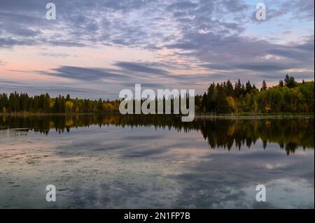 Sonnenuntergang im Herbst am Astotin Lake, Elk Island National Park, Alberta, Kanada, Nordamerika Stockfoto