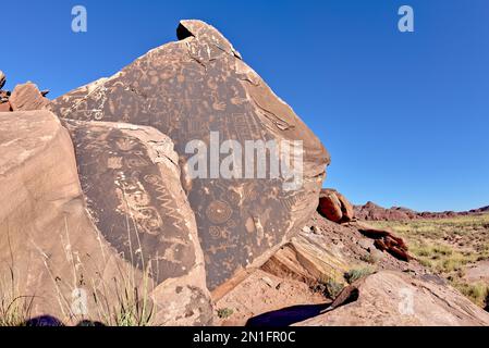 Uralte indische Felszeichnungen entlang des Onyx Trail im Petrified Forest National Park, Arizona, USA, Nordamerika Stockfoto