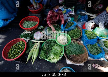 Gemüse und frische Kräuter zum Verkauf, lokaler vietnamesischer Lebensmittelmarkt, Hoi an, Vietnam, Indochina, Südostasien, Asien Stockfoto