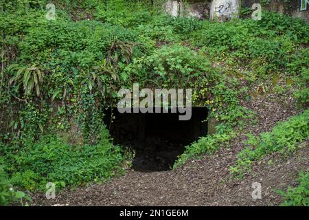 Eintritt zu den Höhlen auf der Radroute Roger Lapébie, Carignan-de-Bordeaux, Frankreich. Stockfoto