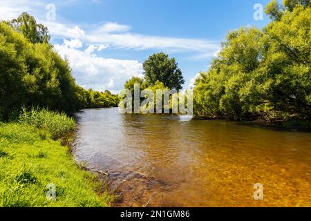 Landschaft im Sommer rund um den Kiewa River an der Keegans Bridge und Streamside Reserve im Ovens Valley in der Nähe des Mt Beauty in Victoria, Australien. Stockfoto