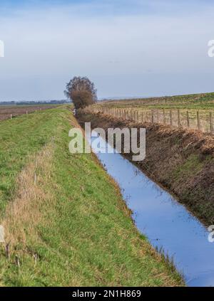 Lincolnshire - Ein gut gepflegter Wassergraben oder Abfluss am Rande eines Bauernfeldes Stockfoto