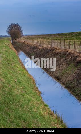 Lincolnshire - Ein gut gepflegter Wassergraben oder Abfluss am Rande eines Bauernfeldes Stockfoto