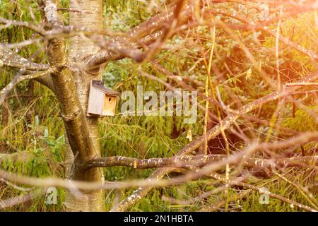 Hausgemachtes Vogelhaus aus Holz im Frühlingswald zwischen Baumzweigen. Speicherplatz kopieren Stockfoto