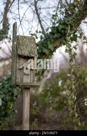 Vertikale Aufnahme eines alten hölzernen Vogelhauses im Garten mit unscharfem Hintergrund und blauem Himmel am Herbsttag Stockfoto