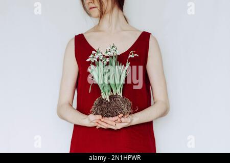 Eine Frau in rotem Leinenkleid, die Schneetropfen mit Wurzeln in einem Stück Erde hält Stockfoto