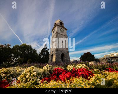 Historischer Steinturm World war Memorial auf dem Seymour Square, umgeben von bunten Blumen im Stadtzentrum von Blenheim Marlborough South Island Stockfoto