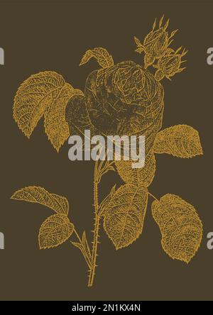 Handgezeichnete Rose mit eingraviertem Poster mit Blättersilhouette. Handgezeichnete monochrome Rose Stock Vektor