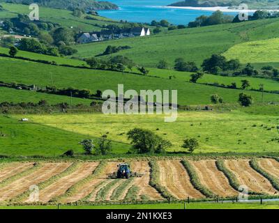 Traktor auf dem Feld. Malerische Landschaftslandschaft Irlands. Heu für die Tierernährung ernten. Bauernhof. Grünes Grasfeld Stockfoto