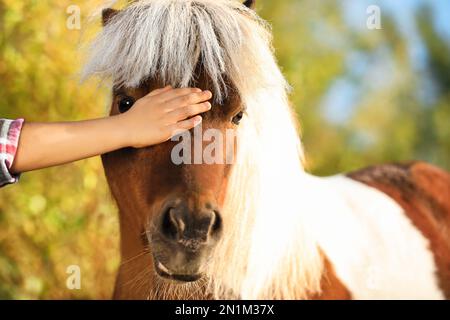 Ein kleines Kind streichelt draußen an einem sonnigen Tag ein niedliches Pony, dicht gemacht Stockfoto