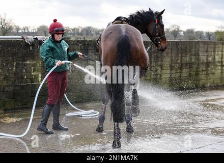 Pferde werden nach dem morgendlichen Training auf Willie Mullins' Hof in Bagenalstown in County Carlow, Irland, runtergespült. Foto: Montag, 6. Februar 2023. Stockfoto