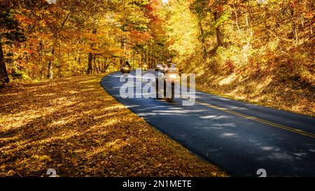 Motorradfahrer auf dem Blue Ridge Parkway in North Carolina im Herbst Stockfoto