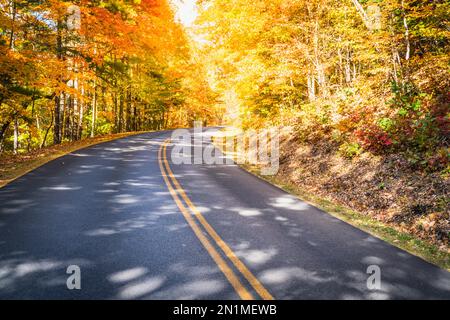 Der Blue Ridge Parkway schlängelt sich durch die Wälder im Herbst bei Asheville, North Carolina Stockfoto
