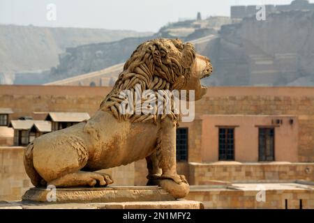 Löwenstatue an den Mauern der Zitadelle von Kairo oder der Zitadelle von Saladin, eine mittelalterliche Festung aus islamischer Zeit in Kairo, Ägypten, erbaut von Salah ad-DIN (S Stockfoto