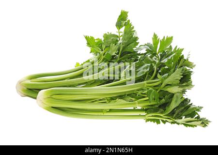 Frische grüne Selleriebüschchen, isoliert auf Weiß Stockfoto