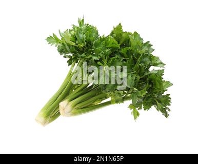 Frische grüne Selleriebüschchen, isoliert auf Weiß Stockfoto