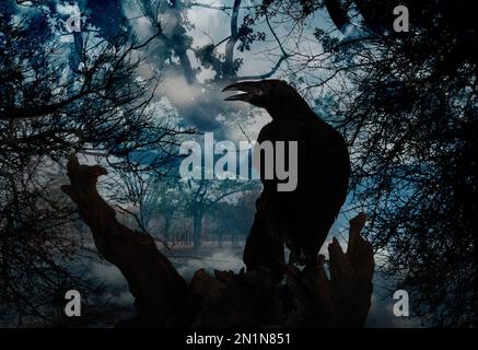 Schwarze Krähe auf einem alten Baum im nebligen Wald. Fantasiewelt Stockfoto