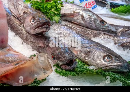 Frischer Fisch zum Verkauf auf einem Markt in Barcelona, Spanien Stockfoto