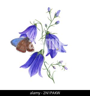 Aquarelle Kupferschmetterlinge auf wilden Blüten campanula isoliert auf weißem Hintergrund. Perfekt für Vorlagen, Tapeten, Drucken, Textilien, Banner Stockfoto