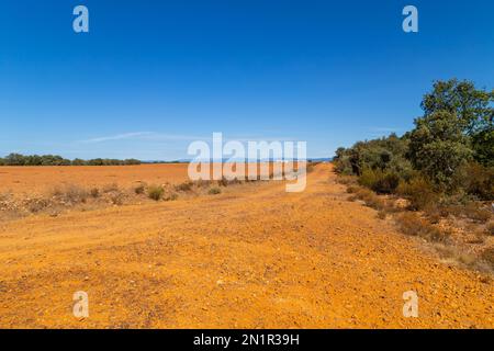 Landstraße in der spanischen Landschaft zwischen landwirtschaftlichen Feldern nach der Weizenernte. Navarra, Spanien Stockfoto