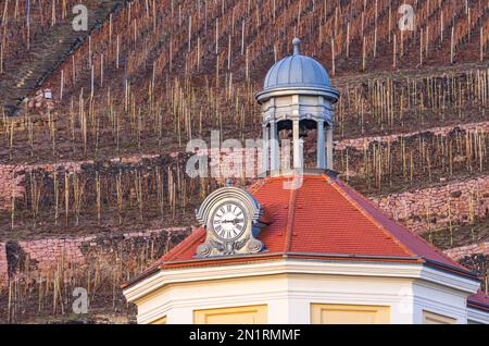Das Belvedere im Garten des Wackerbarth Manor, Sitz des sächsischen Staatsweins in Radebeul bei Dresden, Sachsen, Deutschland. Stockfoto