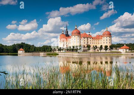 Schloss Moritzburg bei Dresden, Deutschland Stockfoto