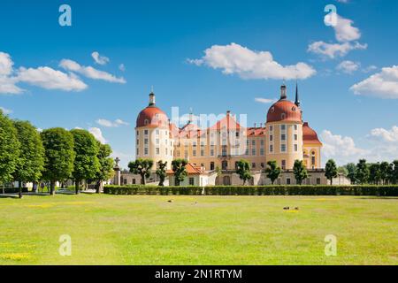 Schloss Moritzburg bei Dresden, Deutschland Stockfoto