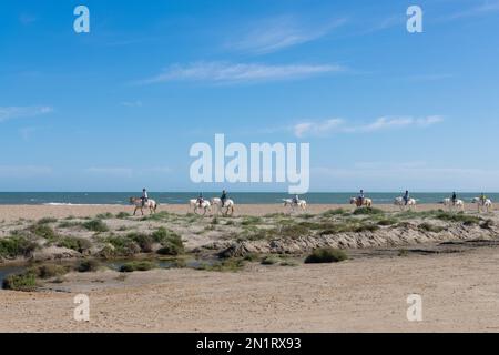 Touristen, die auf Pferden am Strand in der Camargue, Bouches du Rhone, Südfrankreich reiten Stockfoto