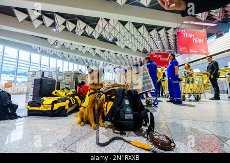 06. Februar 2023, Hessen, Frankfurt/Main: Rettungshund 'Ellis', Hilfsorganisation '@Fire', sitzt in der Abflughalle des Frankfurter Flughafens. Nach einem verheerenden Erdbeben in der Türkei und Syrien sind viele Opfer zu erwarten. Rettungskräfte aus Deutschland, U-A.. Die Hilfsorganisation '@Fire' ist auf dem Weg. Foto: Andreas Arnold/dpa Stockfoto