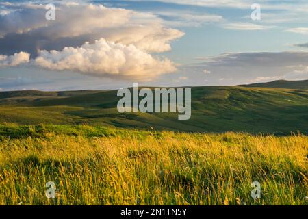 Grüne Seite und Pass Peth, Northumberland National Park, England Stockfoto