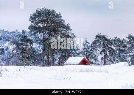 Fantastische Winterlandschaft mit einem kleinen roten Holzhaus, das mit Schnee bedeckt ist. Norwegische Natur. Stockfoto