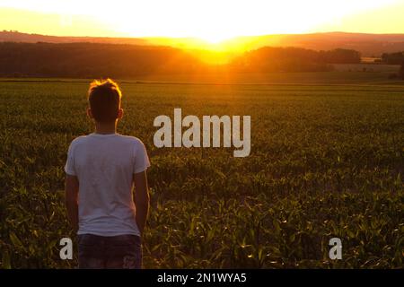 Ein Junge, der im Hintergrund des Sonnenuntergangs über dem wunderschönen grünen Feld steht Stockfoto
