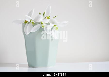 Weiße, frische, natürliche Schneetropfen in hellgrüner Keramikvase. Minimalistische Dekoration Stillleben Stockfoto