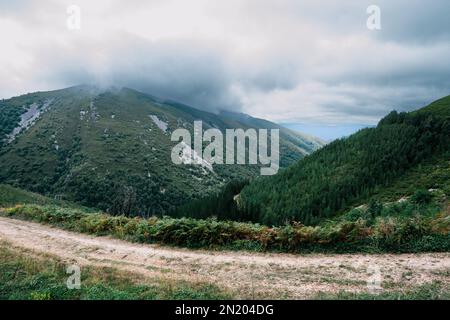 LUFTAUFNAHME VON KLEINEN DÖRFERN IN DER NATUR MIT FLÜSSEN UND BRÜCKEN Stockfoto