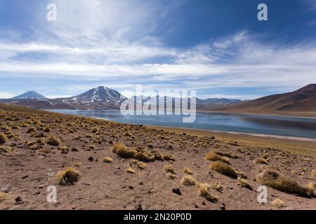 Die Hochlandlagunen Miscanti und Miniques in Chile Stockfoto