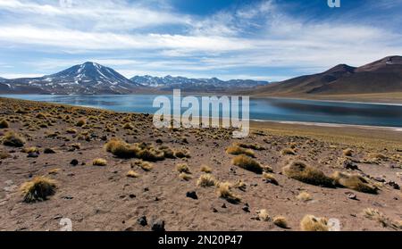 Die Hochlandlagunen Miscanti und Miniques in Chile Stockfoto