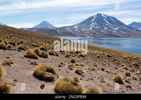 Die Hochlandlagunen Miscanti und Miniques in Chile Stockfoto