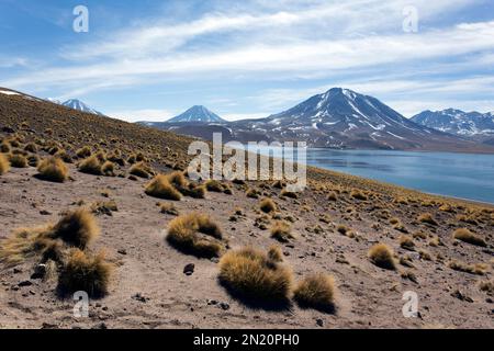 Die Hochlandlagunen Miscanti und Miniques in Chile Stockfoto