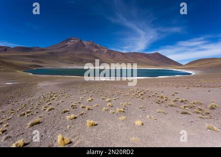 Die Hochlandlagunen Miscanti und Miniques in Chile Stockfoto