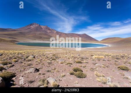 Die Hochlandlagunen Miscanti und Miniques in Chile Stockfoto