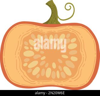 Farbige, von Hand gezeichnete Vektorgrafik mit Kürbis. Farbenfrohes Herbstgemüse, ganz, Scheiben und Hälften isoliert auf weißem Hintergrund Stock Vektor