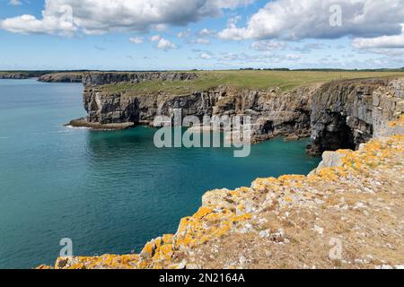 Blick nach Westen zum Mowingword-Vorgebirge von Stackpole Head, mit St. Govan's Head in the background, near Pembroke, Pembrokeshire, Wales, Vereinigtes Königreich Stockfoto