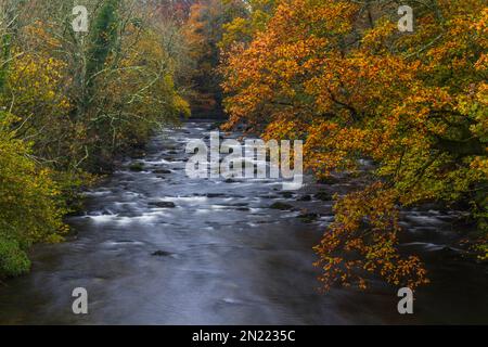 Brücke über den Fluss Afon Dwyfor in Llanystumdwy, einem Dorf, das mit David Lloyd George verbunden ist. Criccieth, Nordwales, Großbritannien, Landschaftsbau. Stockfoto