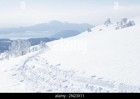 Skipisten, die durch tiefen Pulverschnee führen Stockfoto